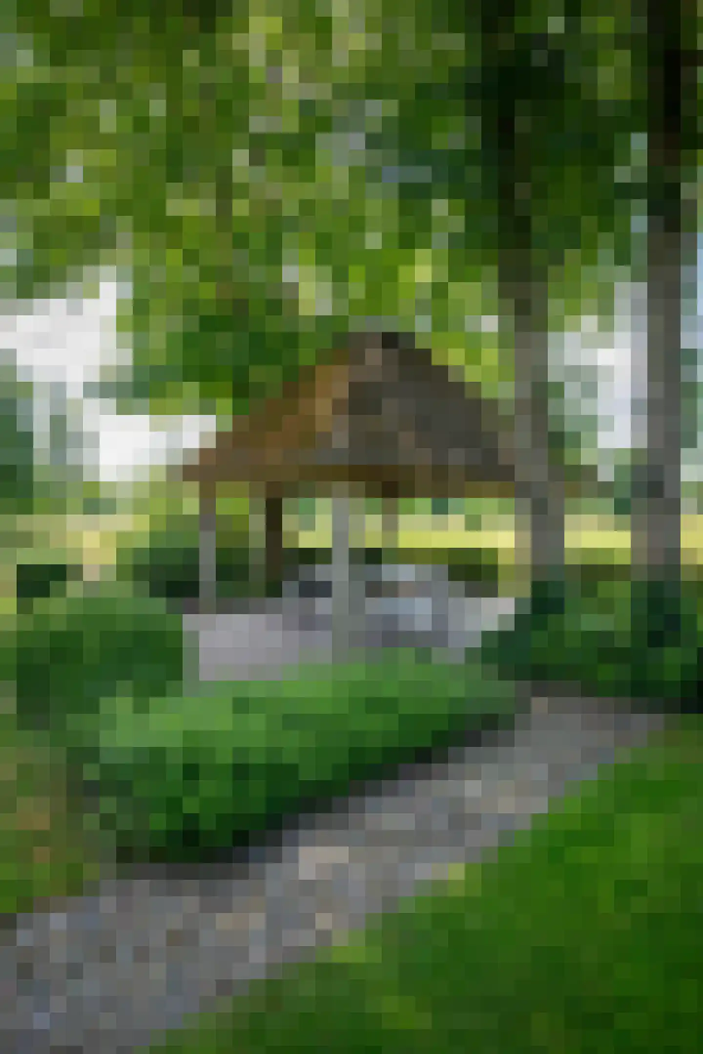 't Jannendorp 8 Achterveld thumbnail 29