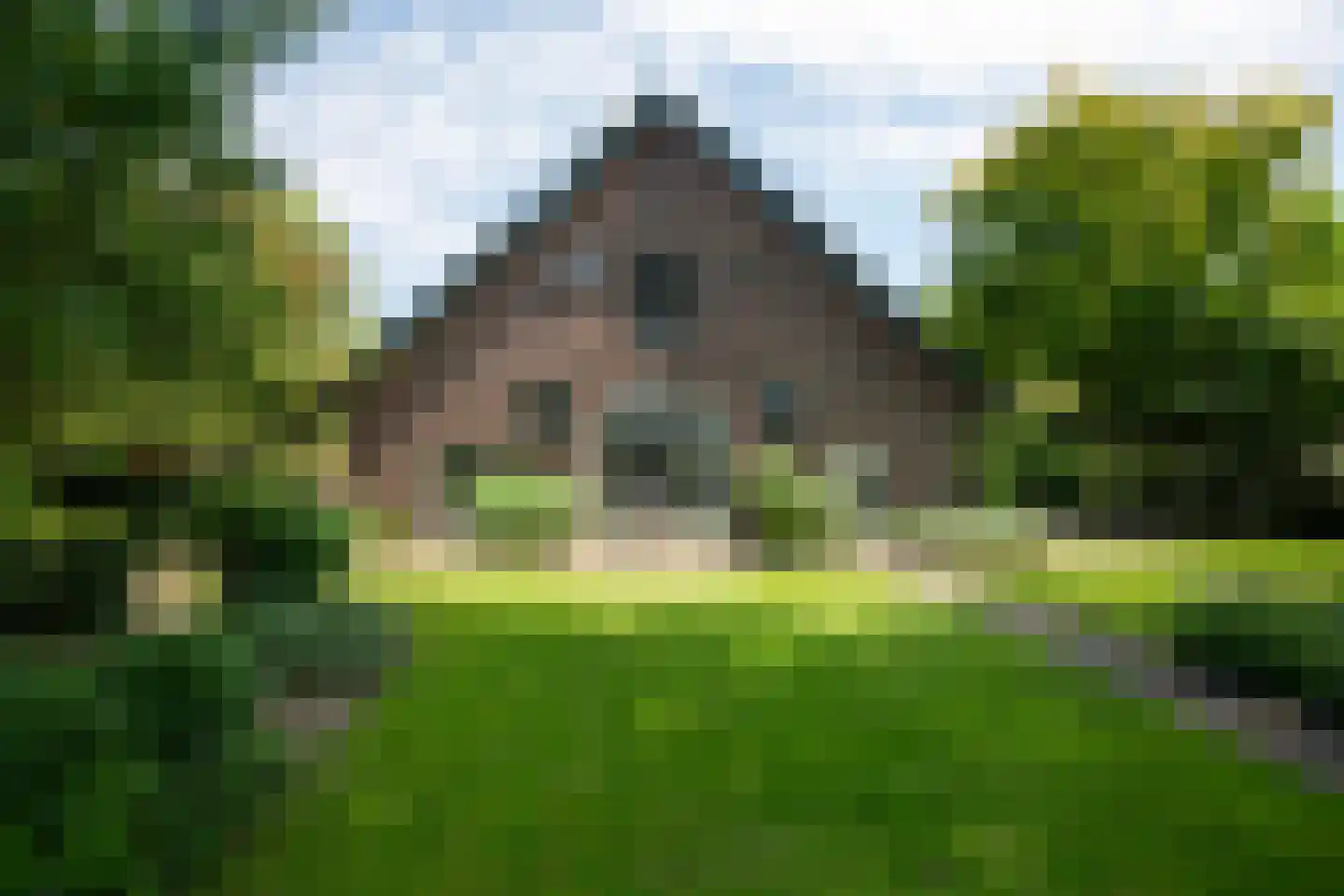 't Jannendorp 8 Achterveld thumbnail 30