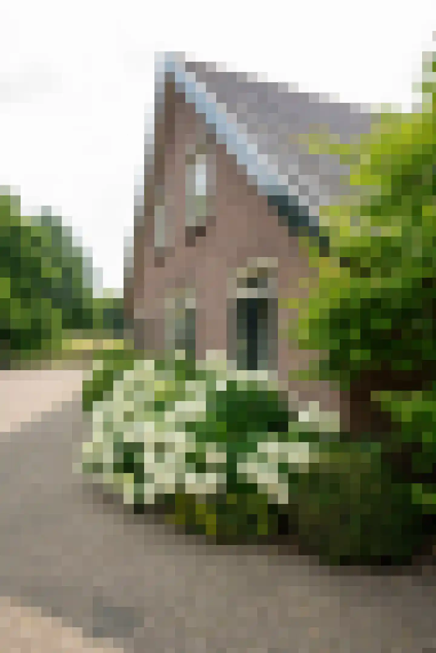 't Jannendorp 8 Achterveld thumbnail 32