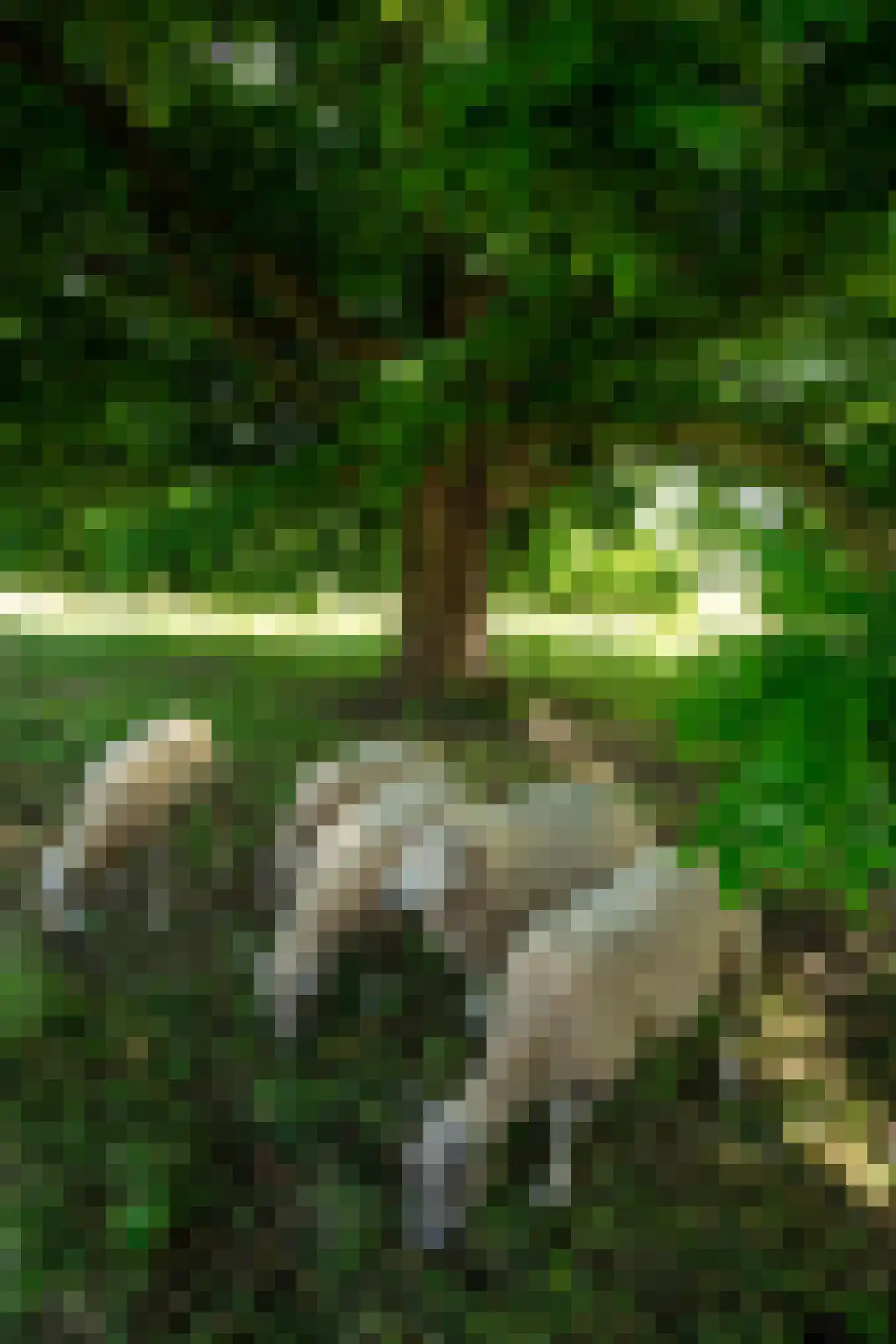 't Jannendorp 8 Achterveld thumbnail 33