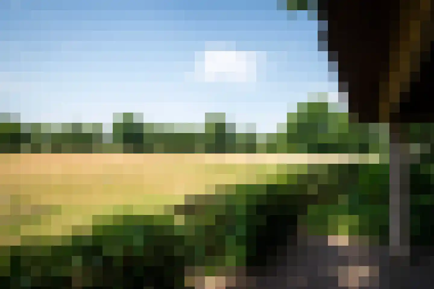 't Jannendorp 8 Achterveld thumbnail 34
