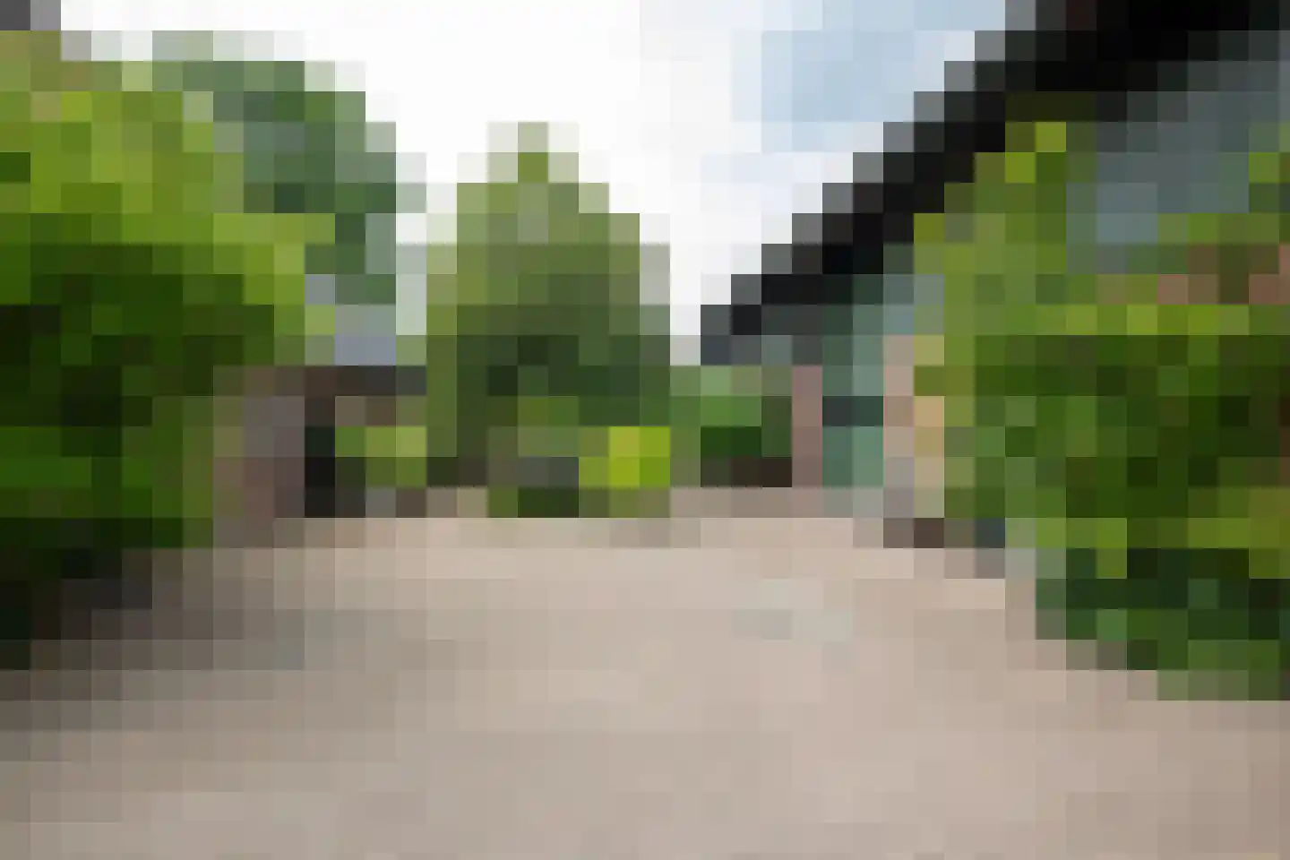 't Jannendorp 8 Achterveld thumbnail 37
