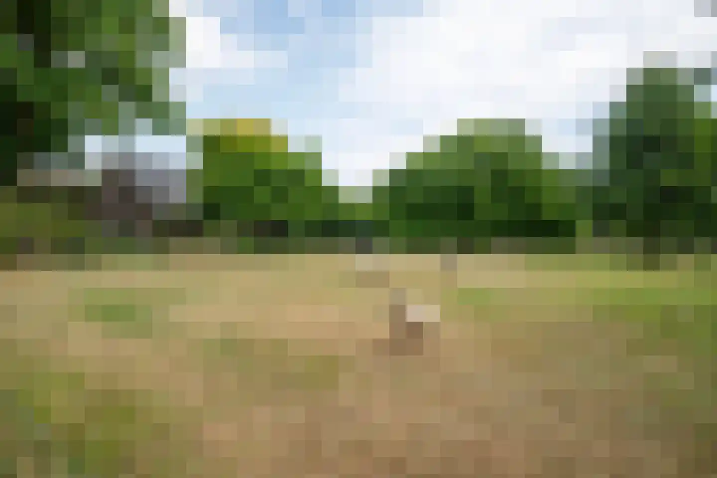 't Jannendorp 8 Achterveld thumbnail 39
