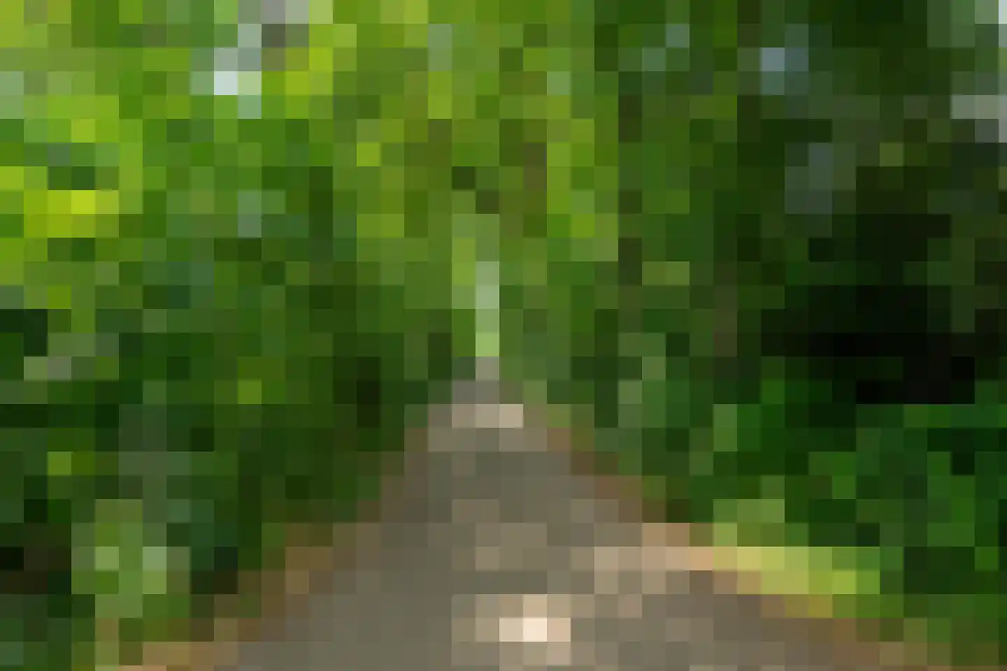 't Jannendorp 8 Achterveld thumbnail 40
