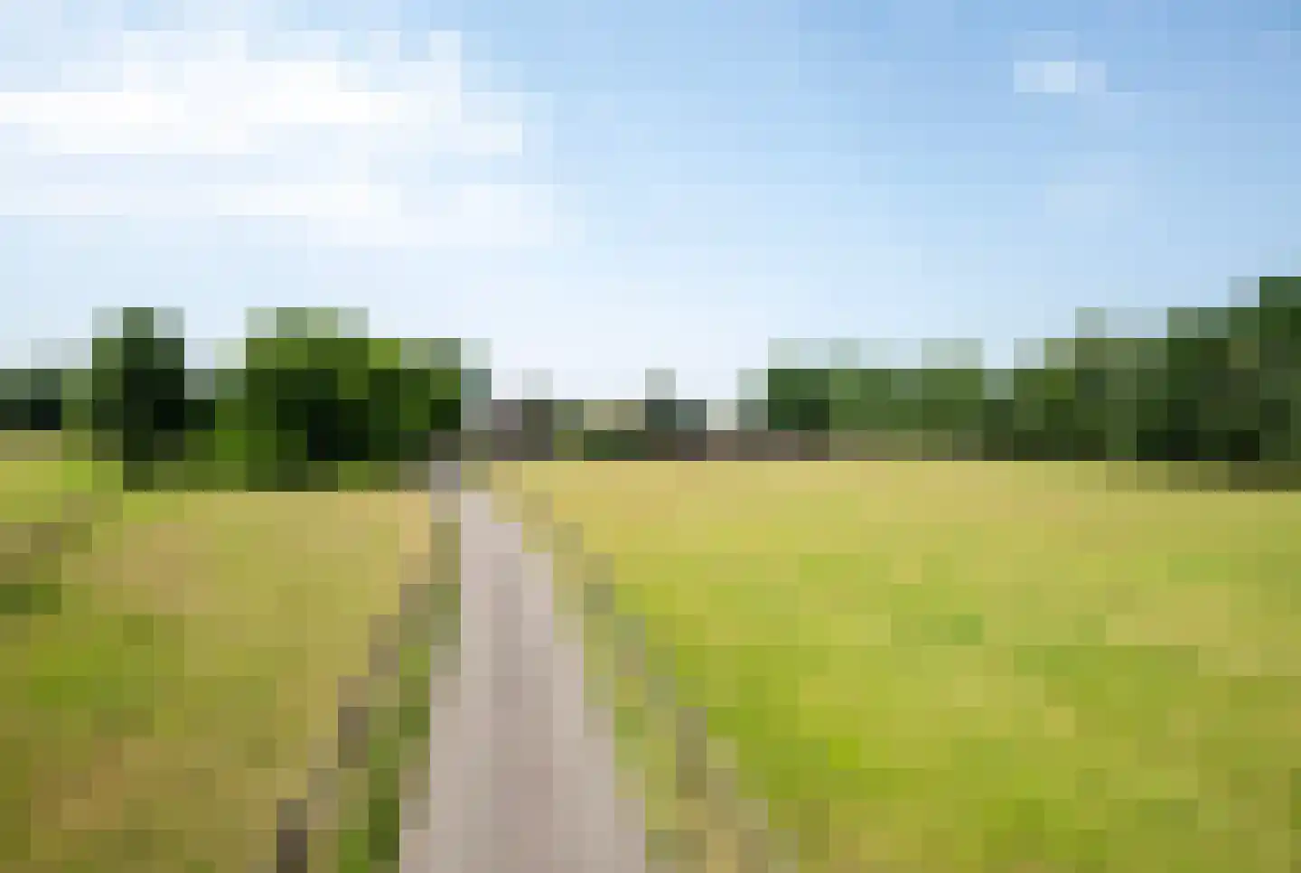 't Jannendorp 8 Achterveld thumbnail 42