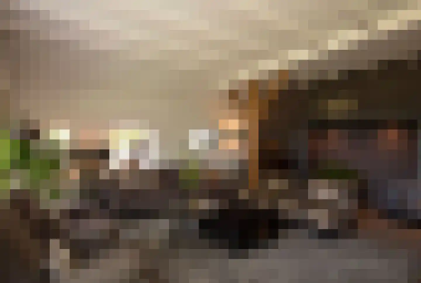 't Jannendorp 8 Achterveld thumbnail 6