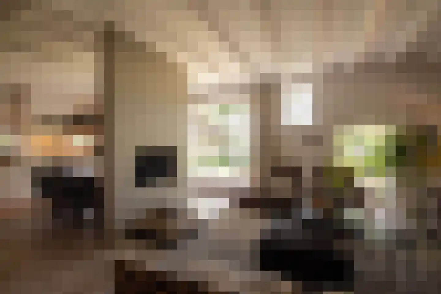 't Jannendorp 8 Achterveld thumbnail 7