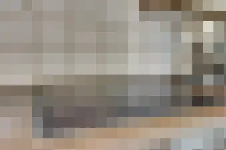 't Jufferblock 54 Westervoort thumbnail 13
