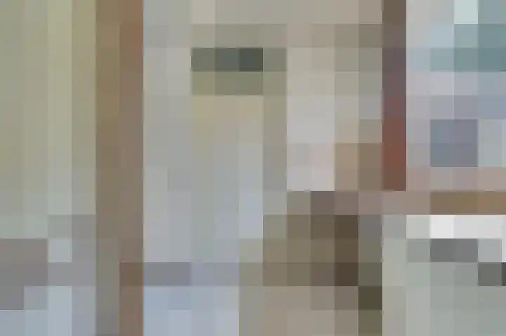't Jufferblock 54 Westervoort thumbnail 14