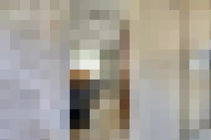't Jufferblock 54 Westervoort thumbnail 17