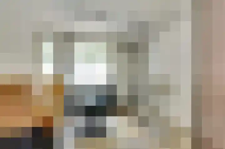 't Jufferblock 54 Westervoort thumbnail 18