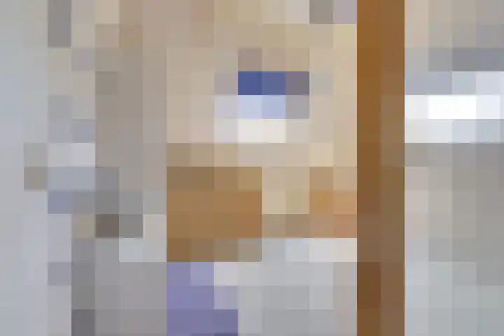 't Jufferblock 54 Westervoort thumbnail 25