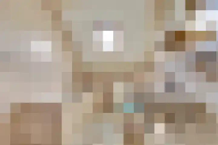 't Jufferblock 54 Westervoort thumbnail 31