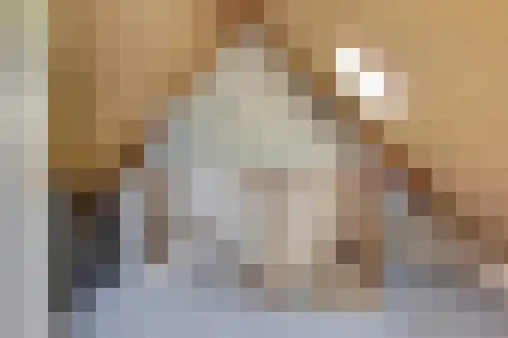 't Jufferblock 54 Westervoort thumbnail 33