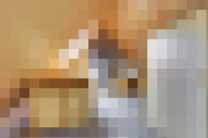 't Jufferblock 54 Westervoort thumbnail 35