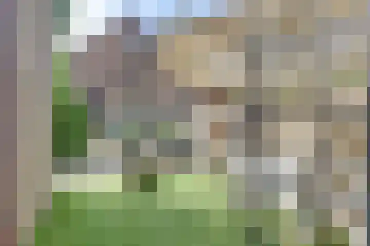 't Jufferblock 54 Westervoort thumbnail 36