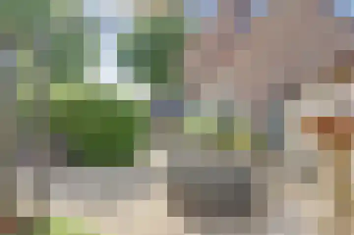 't Jufferblock 54 Westervoort thumbnail 38