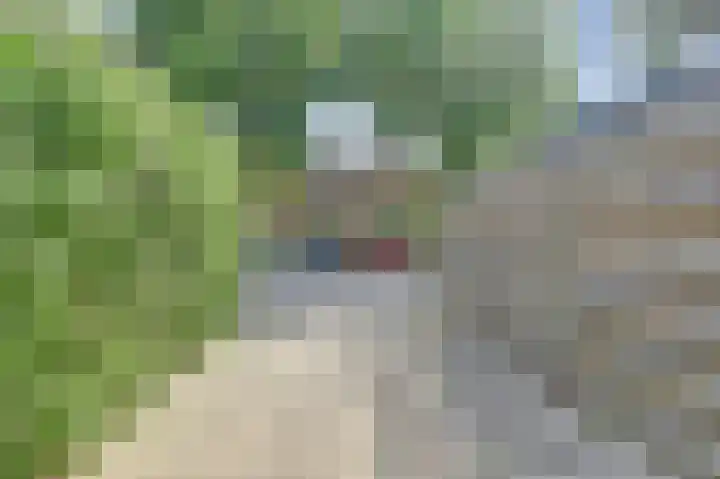't Jufferblock 54 Westervoort thumbnail 41