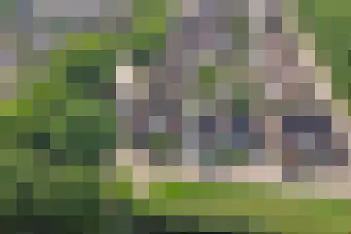 't Jufferblock 54 Westervoort thumbnail 49