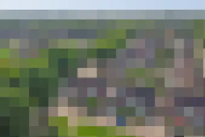 't Jufferblock 54 Westervoort thumbnail 50