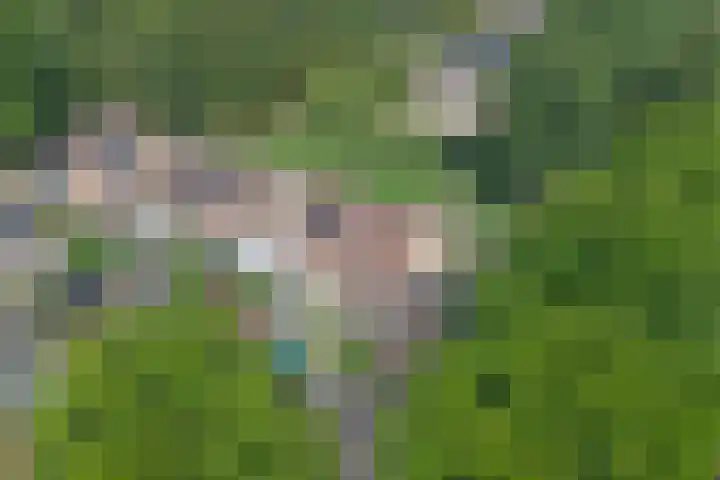 't Jufferblock 54 Westervoort thumbnail 51