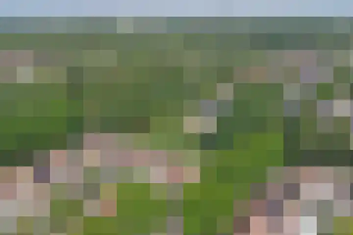 't Jufferblock 54 Westervoort thumbnail 52