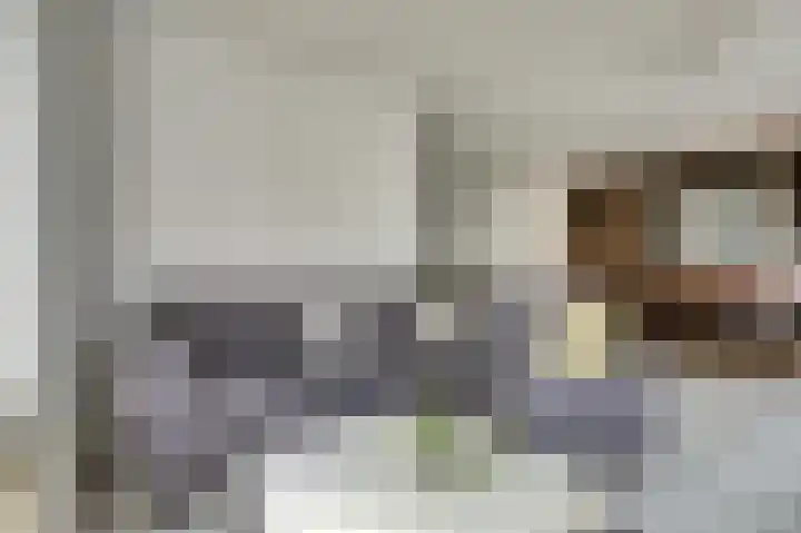 't Jufferblock 54 Westervoort thumbnail 7
