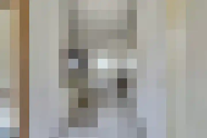 't Jufferblock 54 Westervoort thumbnail 8