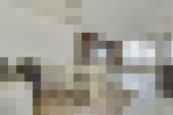 't Jufferblock 54 Westervoort thumbnail 9