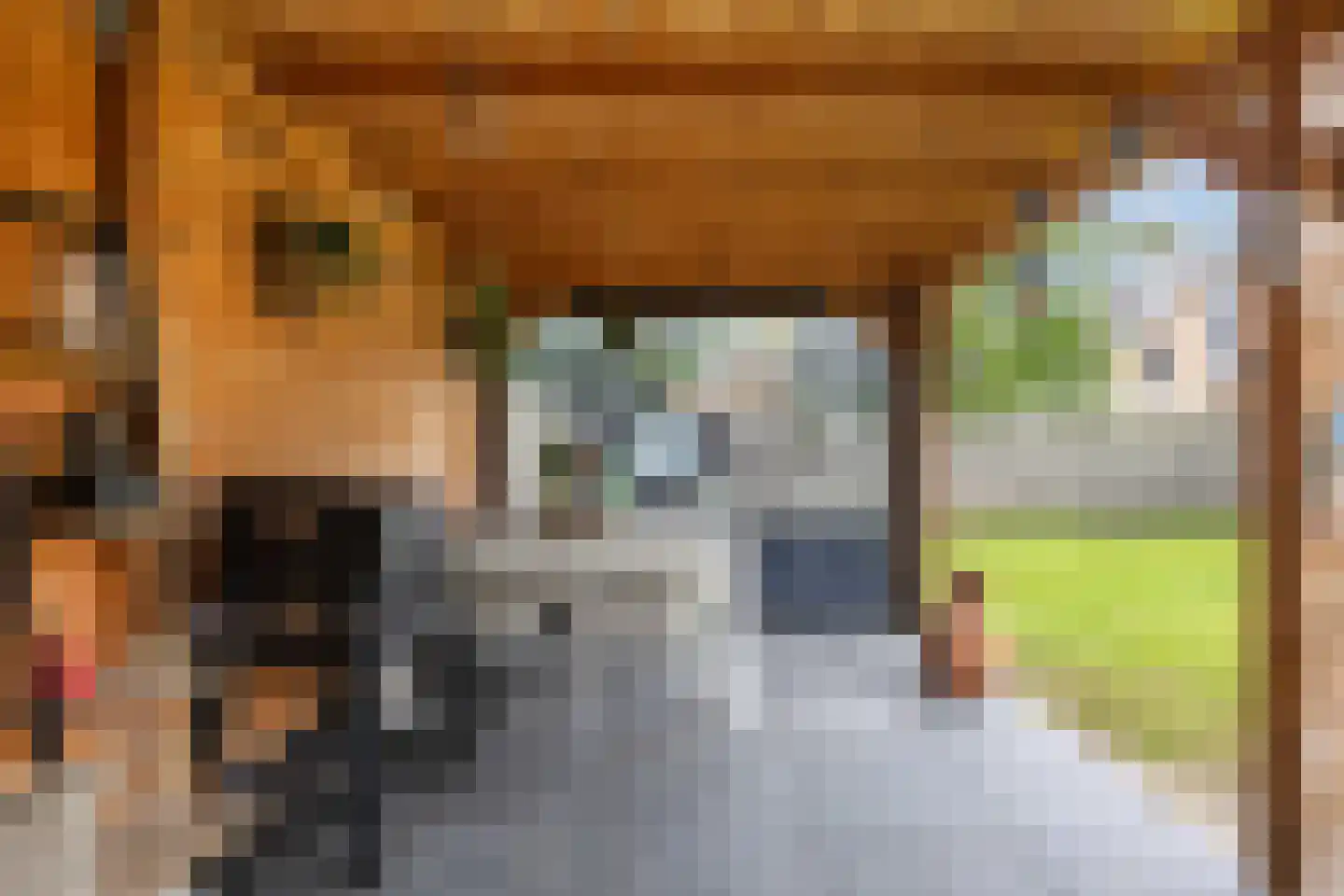 't Kaarnhuus 11 Tolbert thumbnail 10