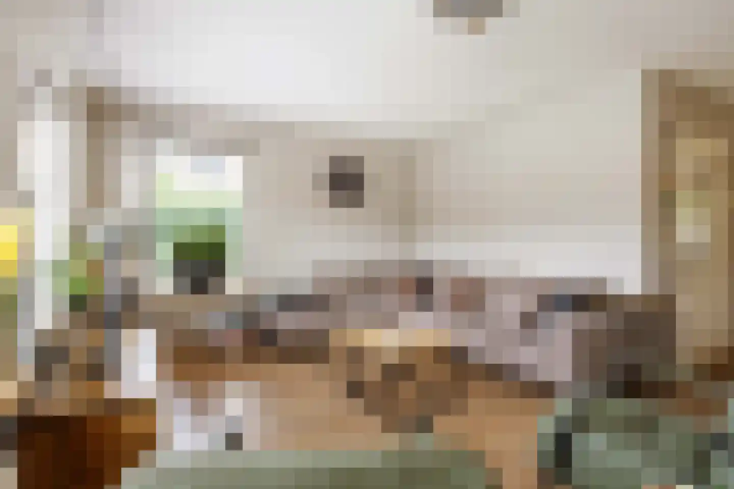 't Kaarnhuus 11 Tolbert thumbnail 16