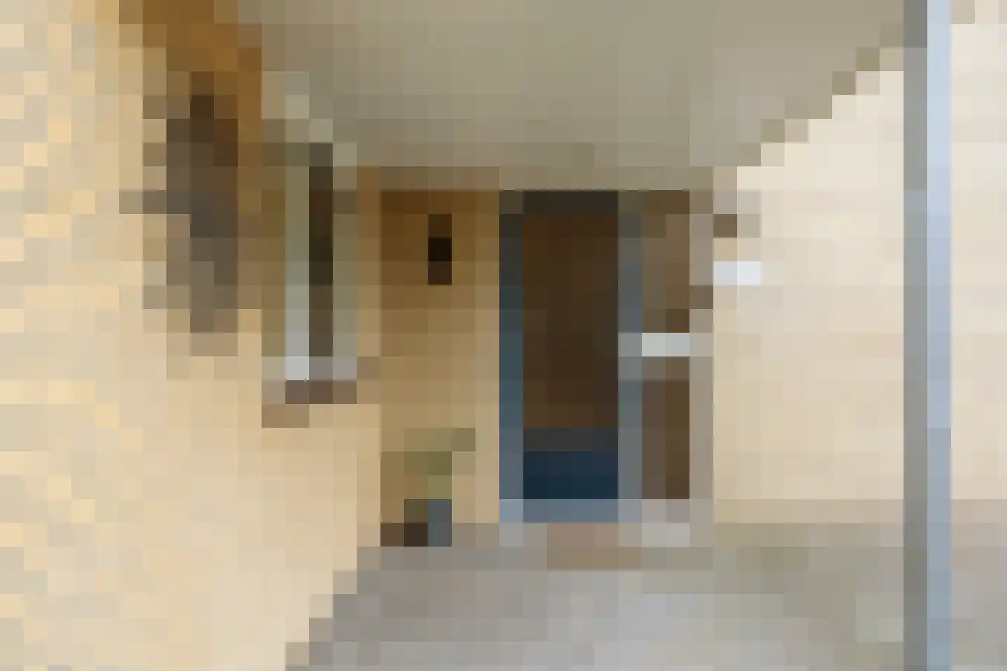 't Kaarnhuus 11 Tolbert thumbnail 5