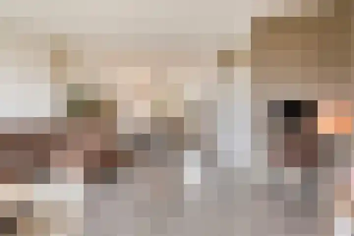 't Kaarnhuus 14 Tolbert thumbnail 10