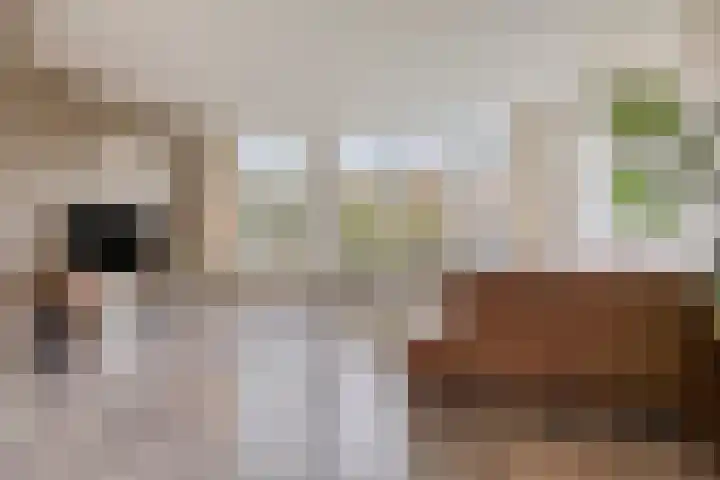 't Kaarnhuus 14 Tolbert thumbnail 12