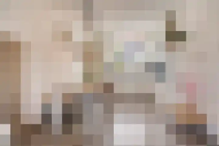 't Kaarnhuus 14 Tolbert thumbnail 14