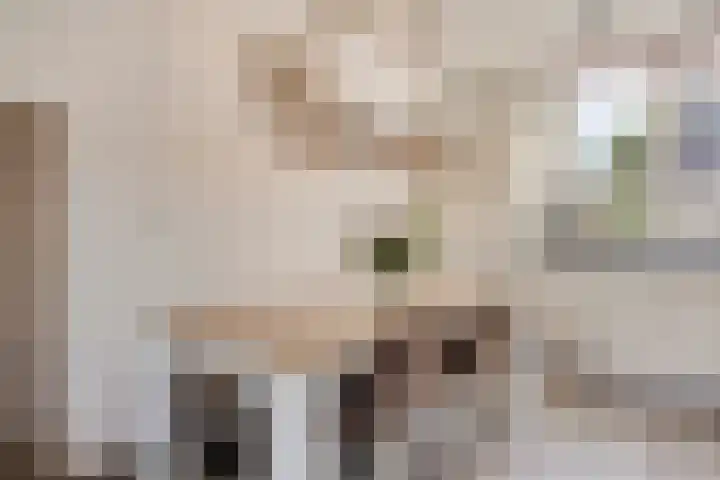 't Kaarnhuus 14 Tolbert thumbnail 16
