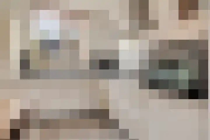 't Kaarnhuus 14 Tolbert thumbnail 18