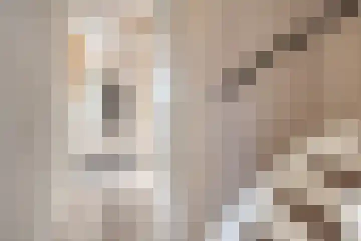 't Kaarnhuus 14 Tolbert thumbnail 21