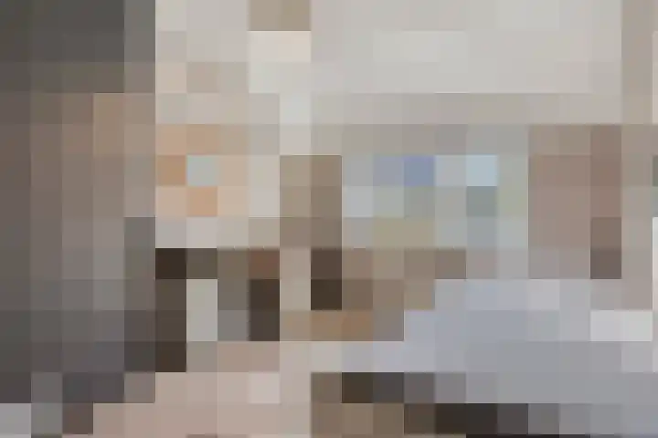 't Kaarnhuus 14 Tolbert thumbnail 24