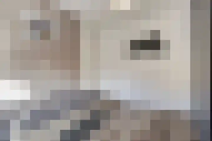 't Kaarnhuus 14 Tolbert thumbnail 25
