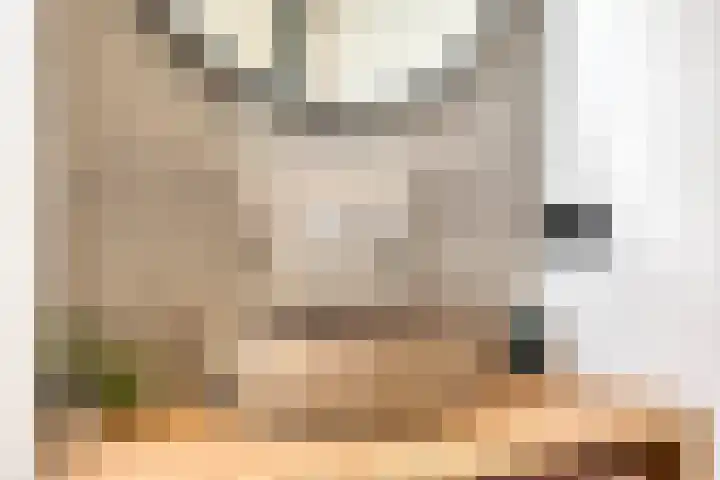 't Kaarnhuus 14 Tolbert thumbnail 29