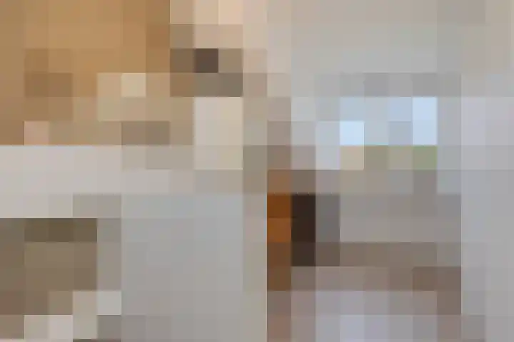 't Kaarnhuus 14 Tolbert thumbnail 32