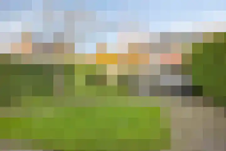 't Kaarnhuus 14 Tolbert thumbnail 39