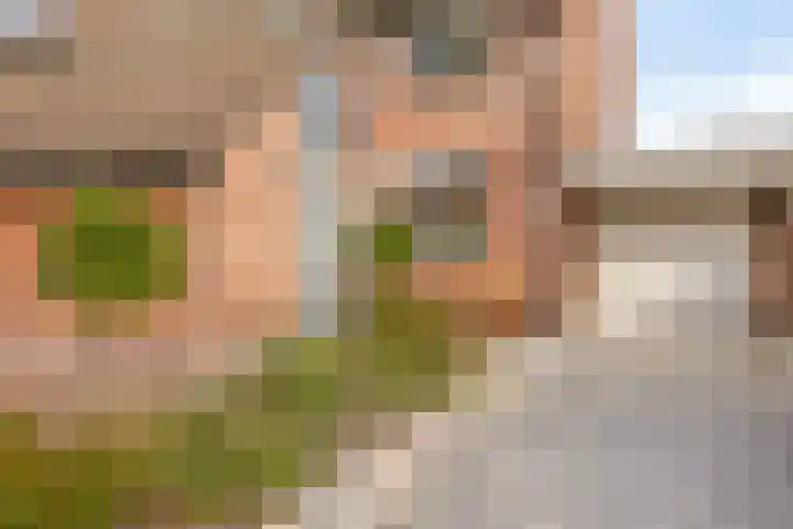 't Kaarnhuus 14 Tolbert thumbnail 45