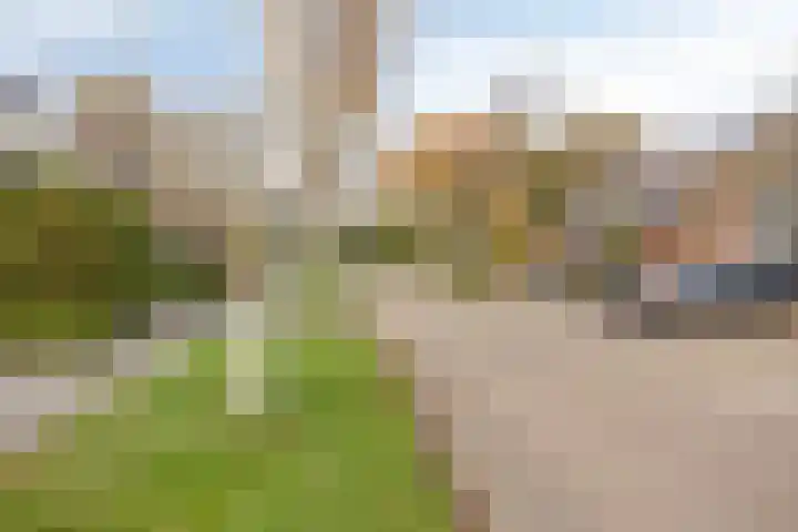 't Kaarnhuus 14 Tolbert thumbnail 49