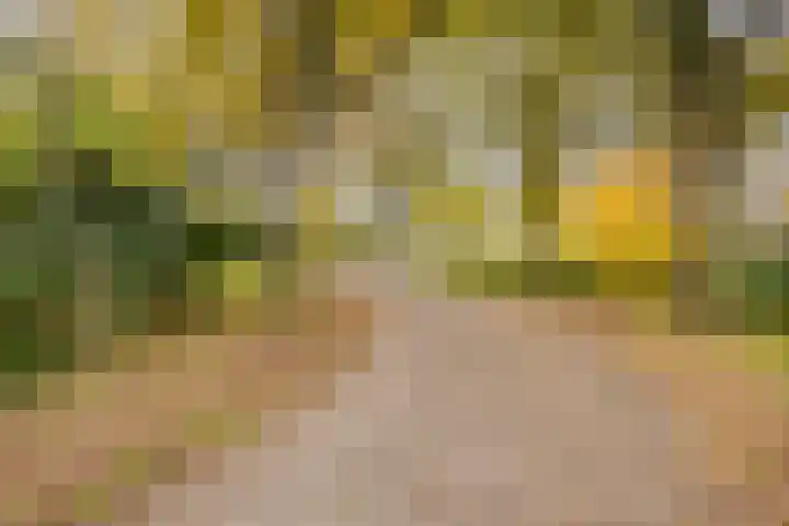 't Kaarnhuus 14 Tolbert thumbnail 50