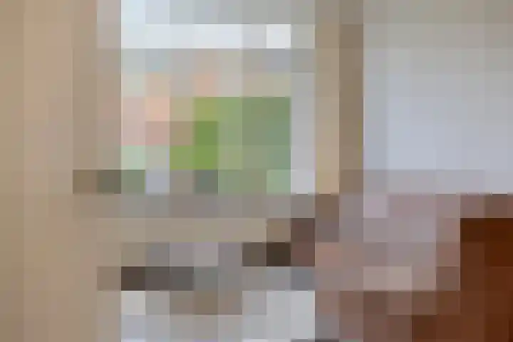 't Kaarnhuus 14 Tolbert thumbnail 8
