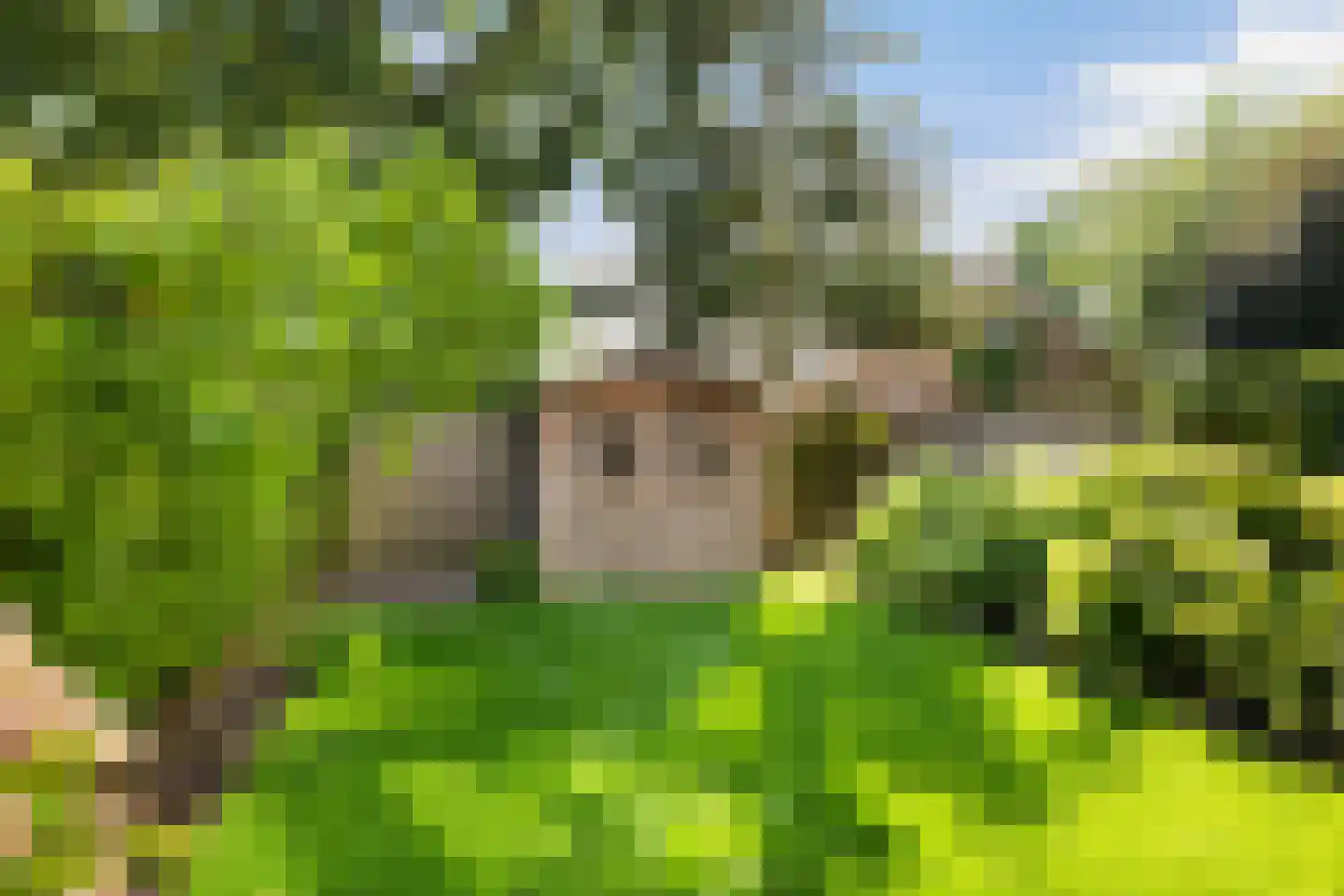 't Karrepad 10 Loenen aan de Vecht thumbnail 38