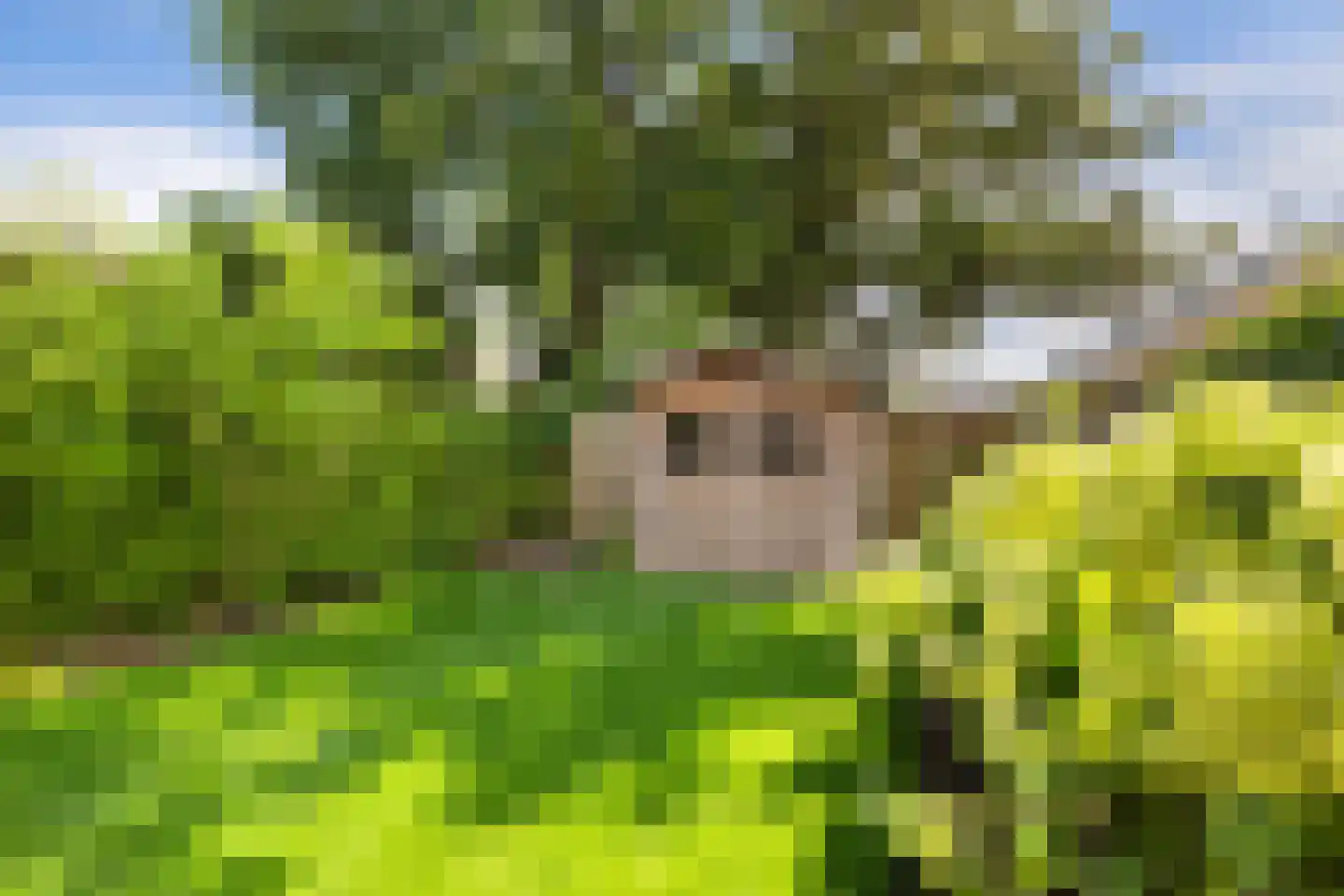 't Karrepad 10 Loenen aan de Vecht thumbnail 39