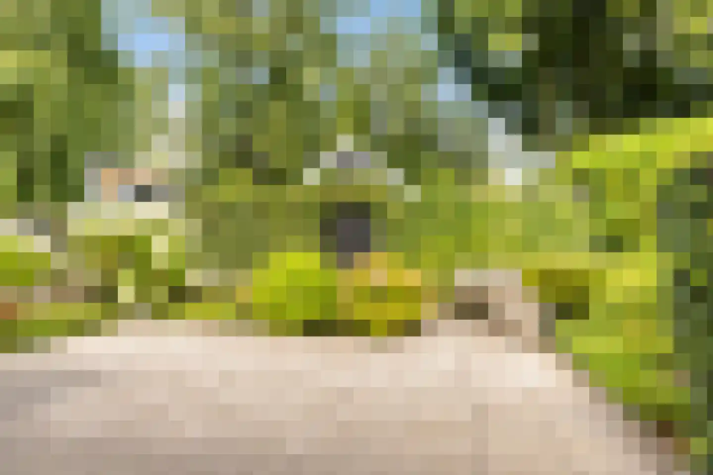 't Karrepad 10 Loenen aan de Vecht thumbnail 42